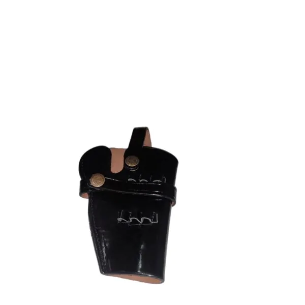 Pistol Holister Black Leather