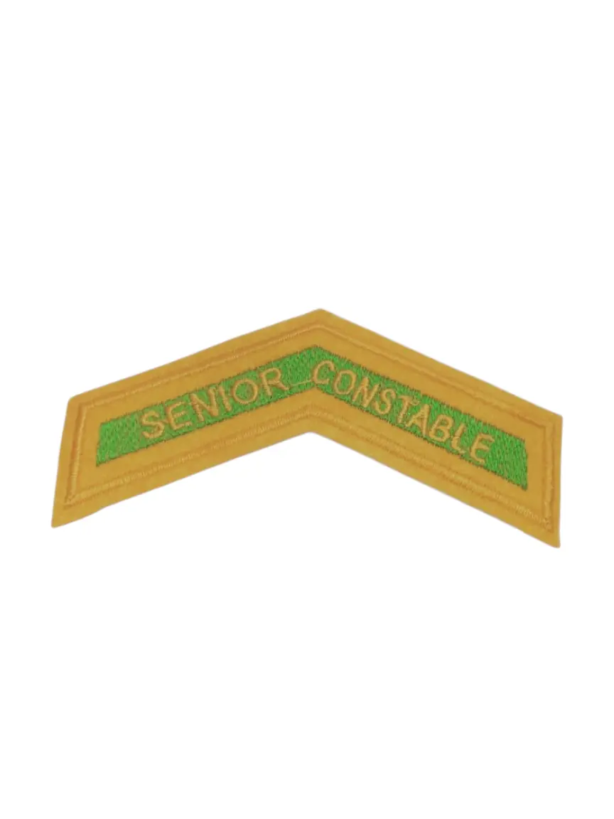 2026/02/1000266503.png Insignia Fitti Senior Constable ITBP - Image 1