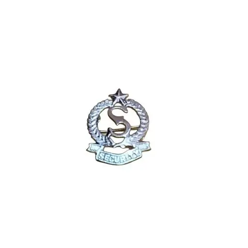 2026/07/1000339197.jpg Security Barrett cap badge - Image 1